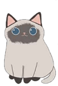 Gato botón conócenos