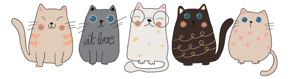 Gatitos quienes somos