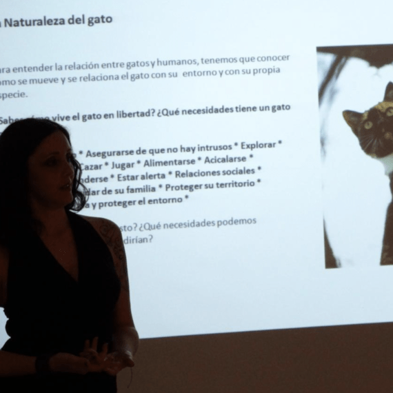 Imagen destacada de cursos y talleres