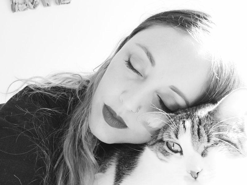 La marcha y duelo de los gatos