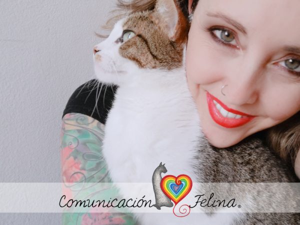 Comunicación felina