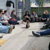 Formación Terapeuta Felina Profesional