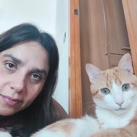 Catsitters Terapia Felina Mª Carmen Ortiz