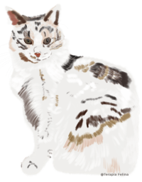 Neko Eva