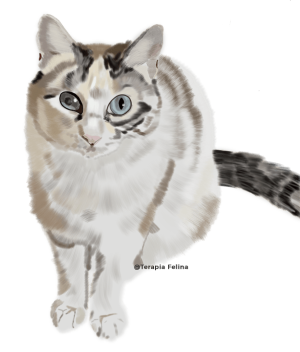 Nippy Gema