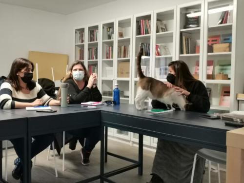 Alba M Dencausa Terapia Felina Formación Catsitter Profesional en Fundación Trifolium Barcelona 19 Febrero 2022