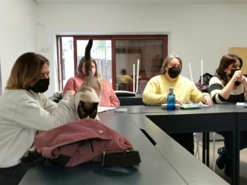 Alba M Dencausa Terapia Felina Formación Catsitter Profesional en Fundación Trifolium Barcelona 19 Febrero 2022