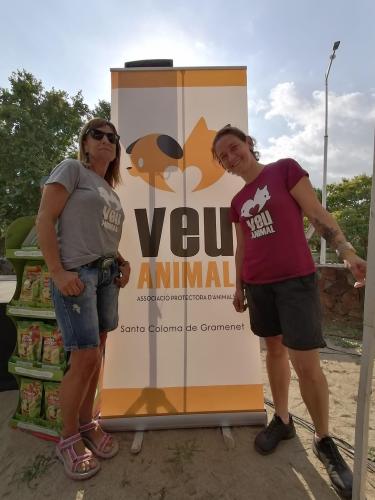 Alba colaboró en la Feria de Veu Animal con una charla gratuita sobre Catsitting el pasado 18 de Septiembre de 2022