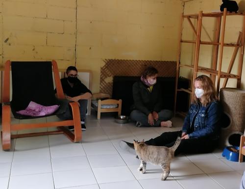 Formacion-Terapeuta-Felina-Profesional-Terapia-Felina-Madrid-23-Septiembre-2021-Agueda-Nynes-y-Maribel