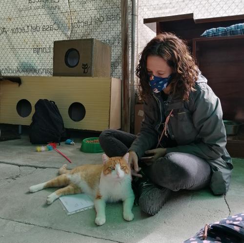 Formacion-Terapeuta-Felina-Profesional-Terapia-Felina-Madrid-23-Septiembre-2021-Maria
