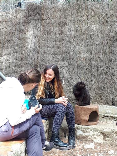 Formacion-Terapeuta-Felina-Profesional-Terapia-Felina-en-Barcelona-14-Abril-2019-Alba-y-Laura