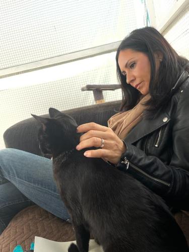 Equipo de Terapia Felina en Hoope Madrid 5 de Noviembre de 2022 - Gema Bolaños