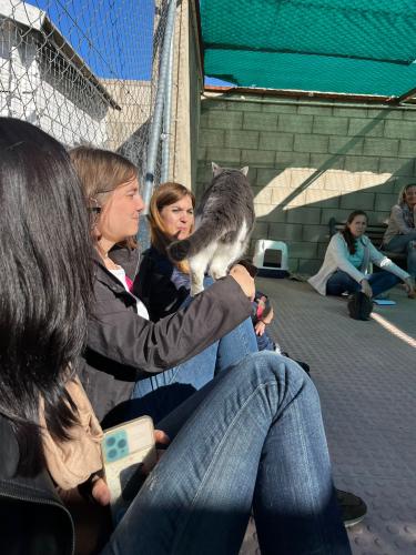 Equipo de Terapia Felina en Hoope Madrid 5 de Noviembre de 2022 - Lorena de Anta