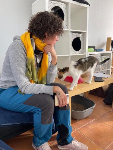 Equipo de Terapia Felina en Hoope Madrid 5 de Noviembre de 2022 - Nynes Benito