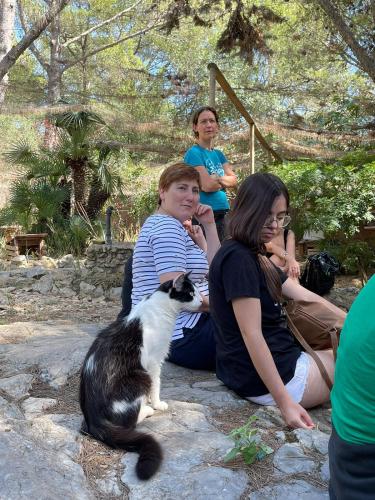 Alba M Dencausa Terapia Felina Formación Catsitter Profesional en Fundación Trifolium Barcelona 4 de Septiembre 2022