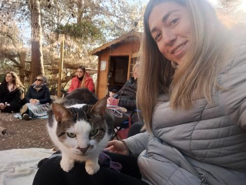 Formación Terapeuta Felina Profesional 5 en Canópolis, Fundación Trifolium, Barcelona -  17 de Diciembre de 2023