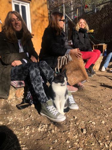 Formación Terapeuta Felina Profesional 5 en Canópolis, Fundación Trifolium, Barcelona -  17 de Diciembre de 2023