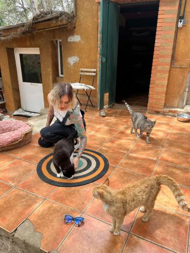 Laura Trillo de Terapia Felina visita algunos gatos de Canópolis (Fundación Trifolium),  8 de Junio de 2024