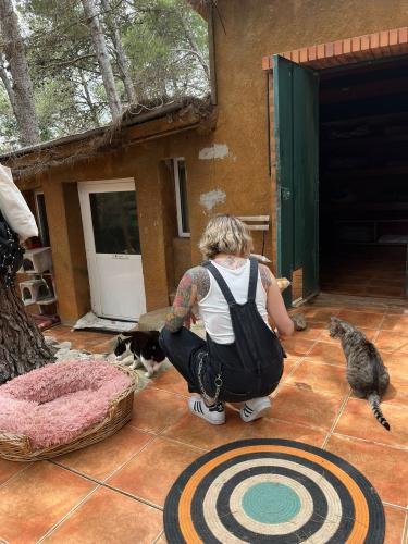Laura Trillo de Terapia Felina visita algunos gatos de Canópolis (Fundación Trifolium),  8 de Junio de 2024