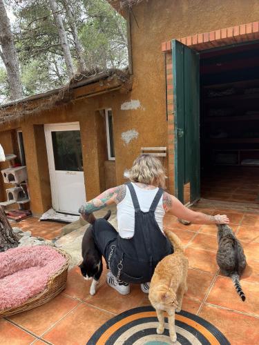 Laura Trillo de Terapia Felina visita algunos gatos de Canópolis (Fundación Trifolium),  8 de Junio de 2024