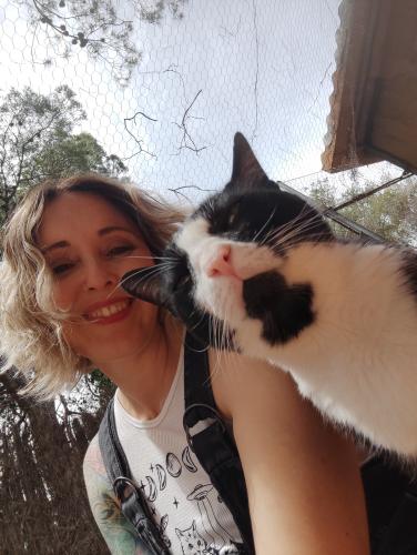 Laura Trillo de Terapia Felina visita algunos gatos de Canópolis (Fundación Trifolium),  8 de Junio de 2024, con Curro