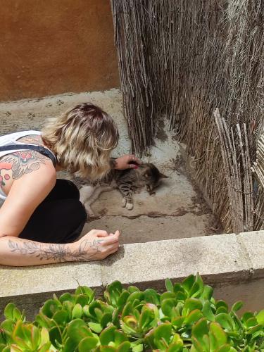 Laura Trillo de Terapia Felina visita algunos gatos de Canópolis (Fundación Trifolium),  8 de Junio de 2024