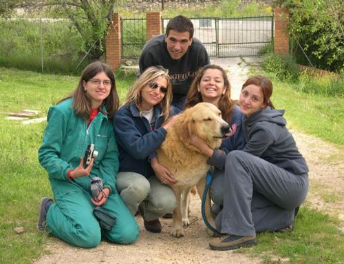 Laura Trillo Ana Tamara Flores Conny Duarte Dani voluntariado en ANAA 2002