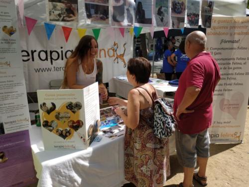 Laura Trillo Terapia Felina Festa dels Animals de Gràcia Barcelona 18 Agosto 2019