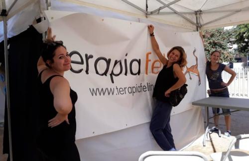 Laura Trillo Terapia Felina Festa dels Animals de Gràcia Barcelona 18 y 19 Agosto 2018