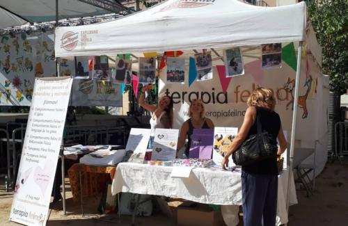 Laura Trillo Terapia Felina Festa dels Animals de Gràcia Barcelona 18 y 19 Agosto 2018