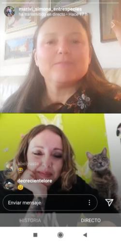 Laura Trillo Terapia Felina Marivi Simona Entrespecies directo Instagram 27 Marzo 2020