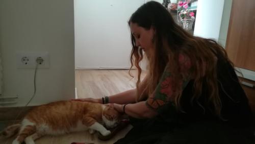 Laura Trillo Terapia Felina Reiki 28 Junio 2019