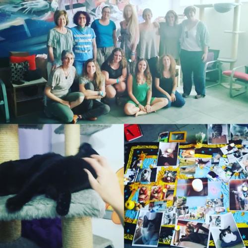 Laura Trillo Terapia Felina curso de Comunicación Felina en Gatoteca Madrid 7 Julio 2018