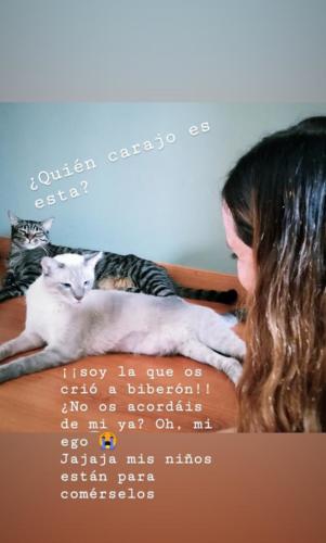 Laura Trillo Terapia Felina visita Coco y Kiwi 16 Septiembre 2018