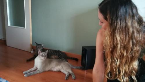 Laura Trillo Terapia Felina visita Coco y Kiwi 16 Septiembre 2018