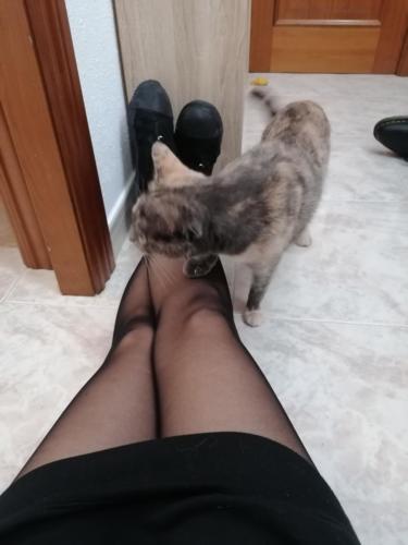 Laura Trillo Terapia Felina visita Estela 17 Noviembre 2021