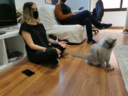Laura Trillo Terapia Felina visita Haiku Barcelona 6 Octubre 2020