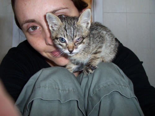 Laura Trillo acogida Rita 2007