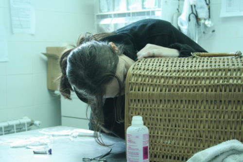 Laura Trillo voluntariado ANAA 2007