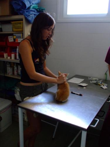 Laura Trillo voluntariado ANAA 2008