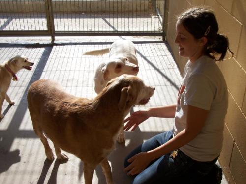 Laura Trillo voluntariado ANAA tras desalojo Pozuelo del Rey 2006