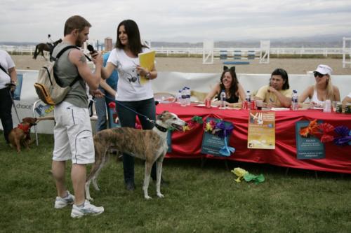 Laura Trillo y compañeras voluntariado XII Concurso de Perros sin Raza ANAA 2008