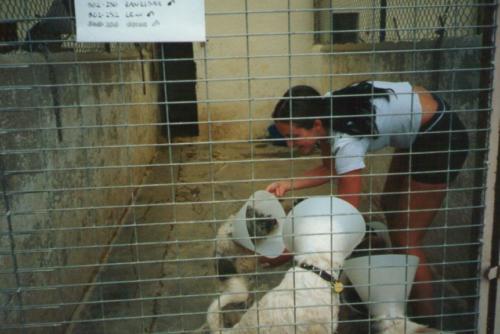 Laura Trillo voluntariado en ANAA 2002