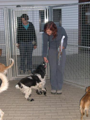 Laura Trillo voluntariado en Alemania con compañeras ANAA y adoptados 2003