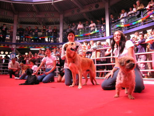 Laura Trillo voluntariado en Concurso de Perros sin Raza ANAA 2002