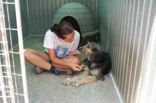 Laura Trillo voluntariado terapia ANAA 2003