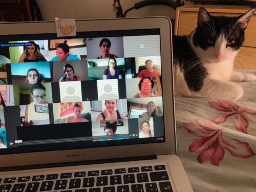 Reuniones online Idioma Gatuno 2 Julio 2021