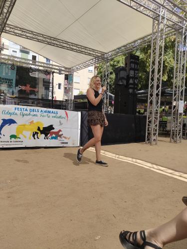 Terapia Felina en la Festa dels Animals de Gràcia Barcelona 15 de Agosto 2022